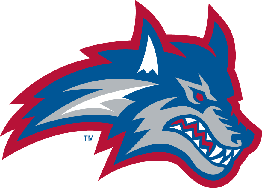 Stony Brook Seawolves 2008-Pres Secondary Logo v2 diy DTF decal sticker